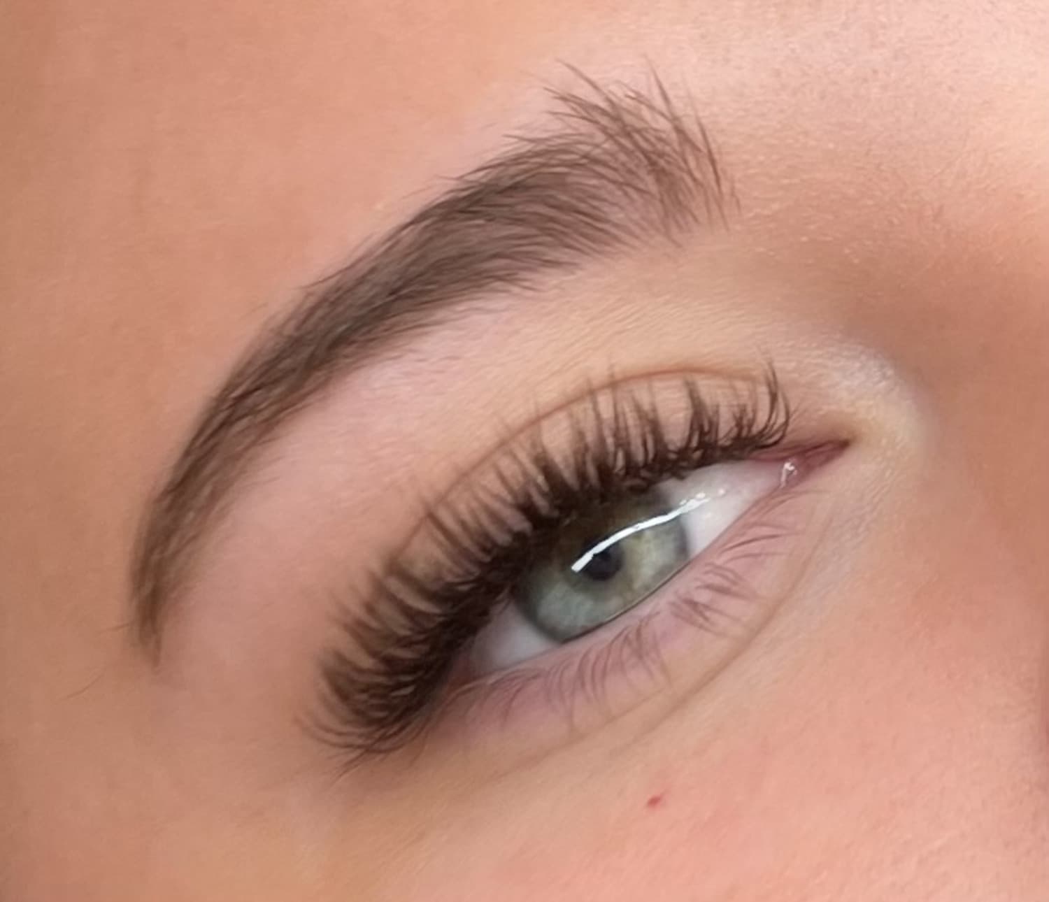 Eyelash extension fill appointment. Refresh your look with full eyelash extensions in American Fork, Utah. in American Fork, UT